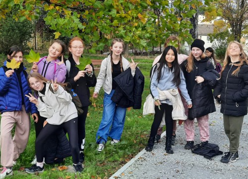 Mezinárodní projekt