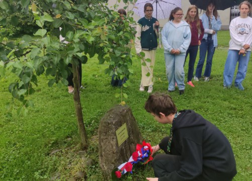 Lidická hrušeň