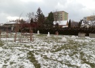IMG_20210113_133306